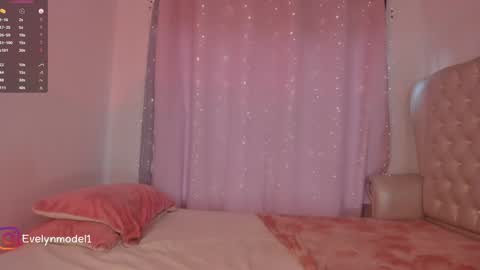 Snapshot of evelyn_evelyn chatting on 12/19/24, 04:46 evelyn evelyn online show from 12/19/24, 04:46
