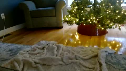 Everleighmae online show from 12/09/24, 01:24