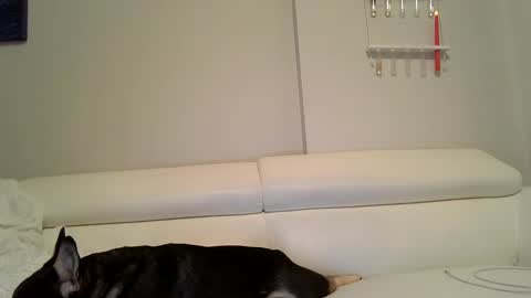 Badblondebunny online show from 12/12/24, 12:05