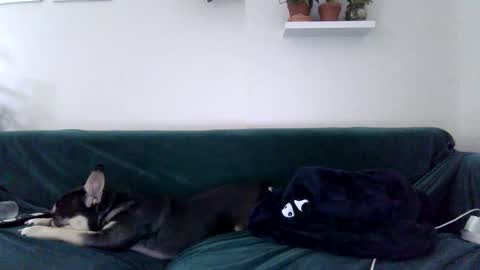 Badblondebunny online show from 10/27/25, 11:41