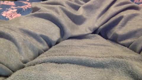 facedownassup219267 online show from 01/25/25, 08:42