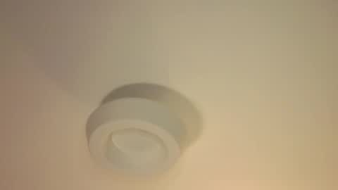 fairy_nine online show from 10/31/25, 04:13