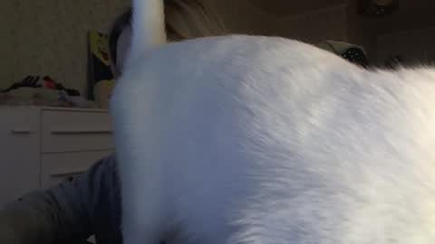 Arisha online show from 11/06/25, 01:01