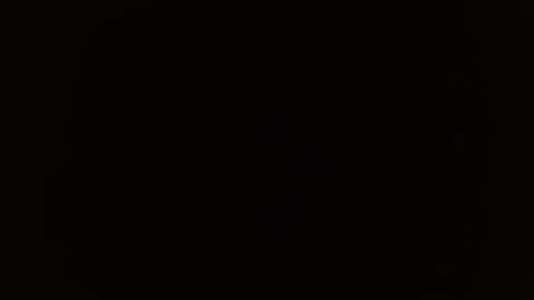 Snapshot of falcon1225 chatting on 03/12/25, 07:17 falcon1225 online show from 03/12/25, 07:17