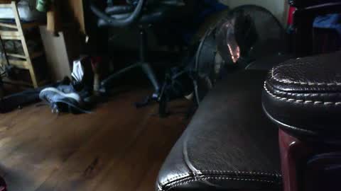 Snapshot of farmershawn chatting on 09/15/25, 01:33 Shawn online show from 09/15/25, 01:33
