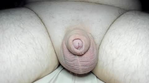 Snapshot of fatmanscock chatting on 02/13/25, 02:34 Fatmanscock online show from 02/13/25, 02:34