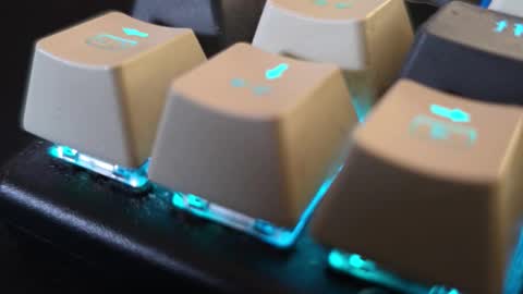 Snapshot of faverry chatting on 11/14/25, 11:20 faverry online show from 11/14/25, 11:20