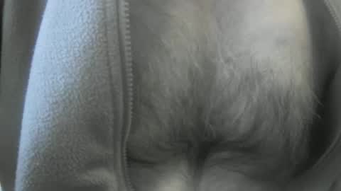 feardubh online show from 01/19/25, 03:53