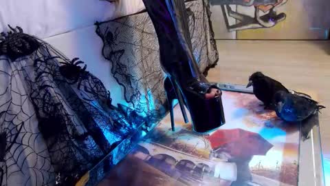 Snapshot of feetvibe chatting on 10/24/25, 08:55 FeetVibe online show from 10/24/25, 08:55