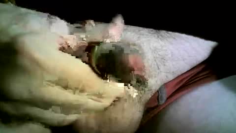 felicaste online show from 11/26/25, 08:43