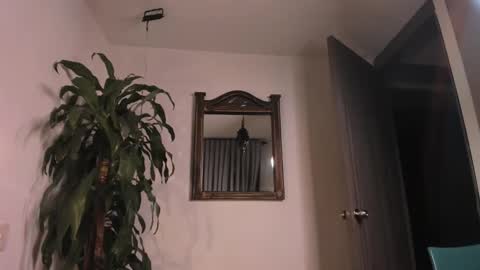 Snapshot of felixsantox chatting on 01/25/25, 01:10 FelixSantos online show from 01/25/25, 01:10