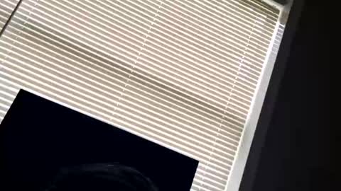 fer28639 online show from 09/24/25, 06:00