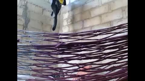 fernandez_latinblack online show from 10/01/25, 02:12