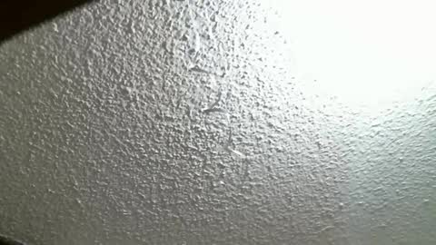 FIERYWOMAN online show from 10/07/25, 04:26