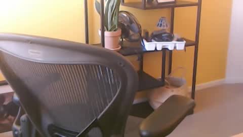 Snapshot of filip907 chatting on 09/25/25, 11:25 filip907 online show from 09/25/25, 11:25