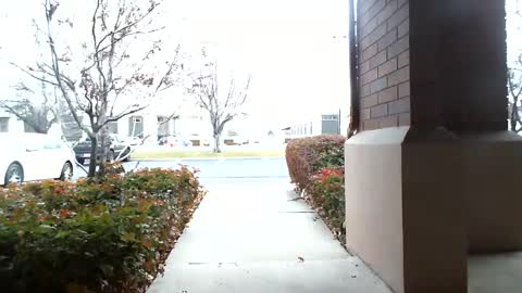 Snapshot of fit_hung_sub chatting on 12/16/24, 05:33 pain slut daren online show from 12/16/24, 05:33