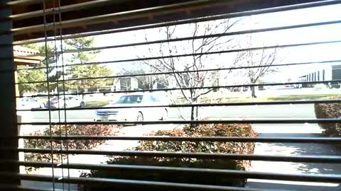 Snapshot of fit_hung_sub chatting on 01/09/25, 07:08 pain slut daren online show from 01/09/25, 07:08