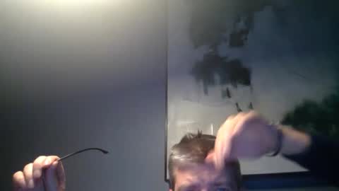 Snapshot of fluidconscience chatting on 12/30/24, 02:09 FluidConscience online show from 12/30/24, 02:09