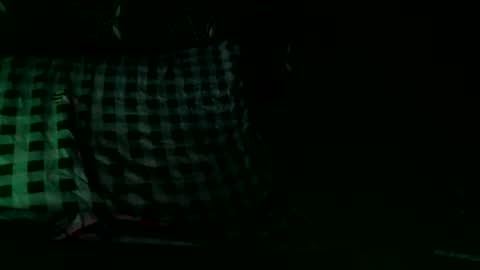 Snapshot of fortheboysx1 chatting on 11/26/25, 02:34 Thinline online show from 11/26/25, 02:34