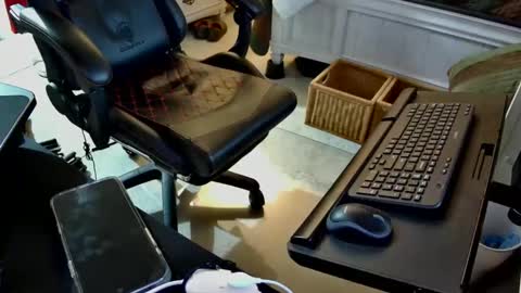 freespirt2 online show from 11/01/25, 03:08