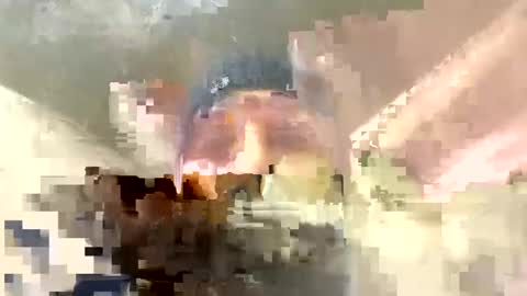 Snapshot of frenchhard0000 chatting on 12/17/24, 12:34 Horny french hard online show from 12/17/24, 12:34