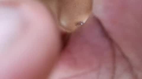 Phantom online show from 02/17/25, 08:47