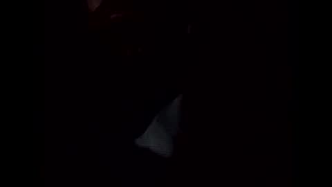 Snapshot of frickish chatting on 01/22/25, 11:21 Frickish online show from 01/22/25, 11:21