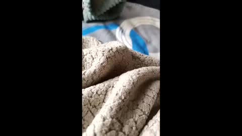 Snapshot of frodo7828 chatting on 11/30/25, 03:49 frodo7828 online show from 11/30/25, 03:49