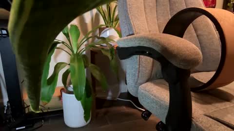 fuklicious online show from 01/19/25, 03:39