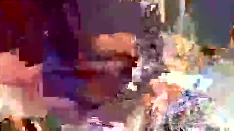 gaby  layla online show from 10/31/25, 01:50