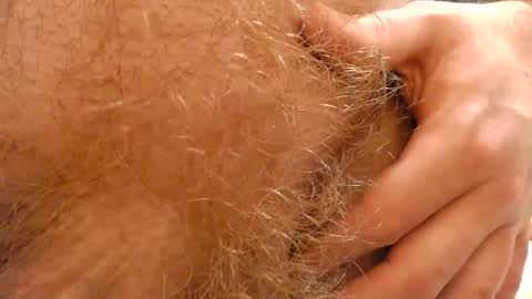 gae89tano online show from 02/19/25, 09:58