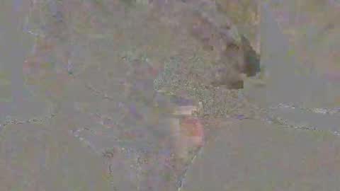 Snapshot of galactusss77 chatting on 11/21/25, 10:19 galactusss77 online show from 11/21/25, 10:19