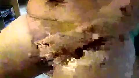 Snapshot of gallimanxxleu chatting on 09/17/25, 08:05 Stutzen online show from 09/17/25, 08:05