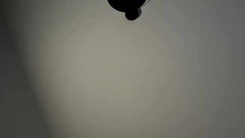 gazg1984 online show from 01/29/25, 10:22