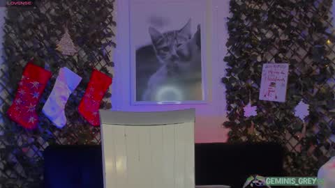 Geminis online show from 02/26/25, 04:14