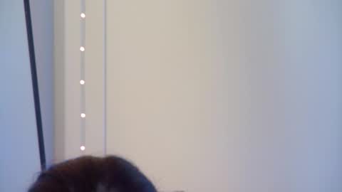 Snapshot of gentlerossi chatting on 10/01/25, 04:02 GentleRossi online show from 10/01/25, 04:02