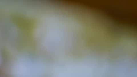 germanandy71 online show from 11/17/25, 12:00