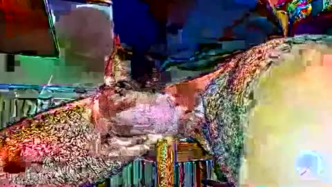 Snapshot of gertrude202 chatting on 11/24/25, 11:10 gertrude202 online show from 11/24/25, 11:10