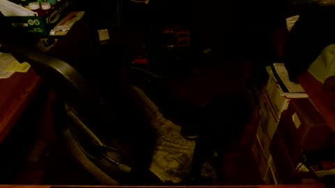 gfhdhr2 online show from 03/04/25, 09:18