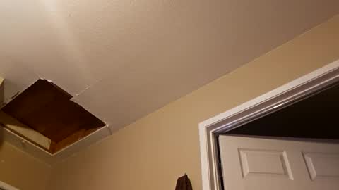 ghuntz22 online show from 11/09/25, 10:13