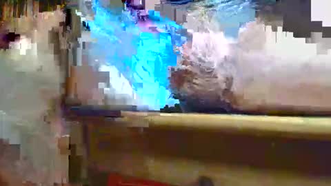 Ptite bite online show from 11/01/25, 08:55