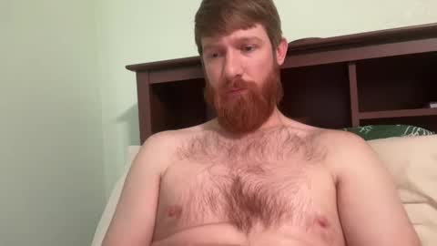 Snapshot of gingermania10 chatting on 12/19/24, 07:40 gingermania10 online show from 12/19/24, 07:40