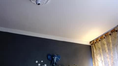 piggy boy online show from 01/31/25, 08:54