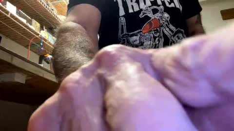 gngnxxx online show from 10/23/25, 04:45