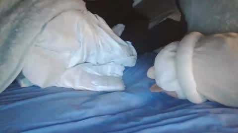 goodbiddings online show from 01/04/25, 11:38
