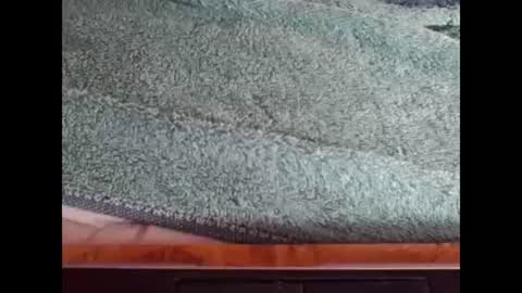 goodboy online show from 12/08/24, 03:45