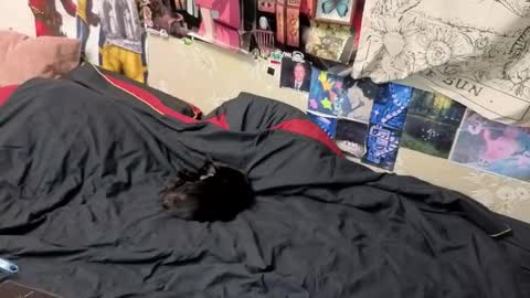 Amy online show from 11/07/25, 08:42