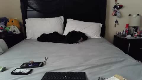 gothbaby305 online show from 10/29/25, 01:46