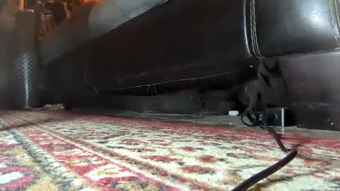 Mistress  Mommy  Godess online show from 01/25/25, 07:17