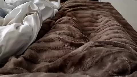 Hazme gozar online show from 02/14/25, 08:42